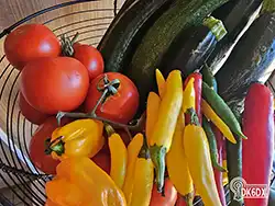 Garten 20230908 153535 thumb